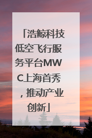 浩鲸科技低空飞行服务平台MWC上海首秀，推动产业创新