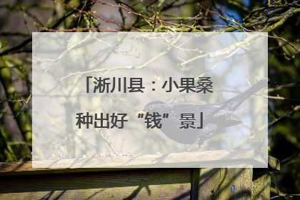 淅川县：小果桑种出好“钱”景