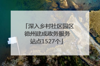 深入乡村社区园区 德州建成政务服务站点1527个