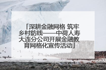 深耕金融网格 筑牢乡村防线——中荷人寿大连分公司开展金融教育网格化宣传活动