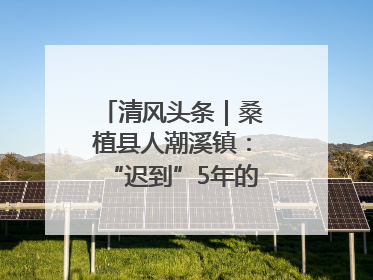 清风头条｜桑植县人潮溪镇：“迟到”5年的生态林补偿金