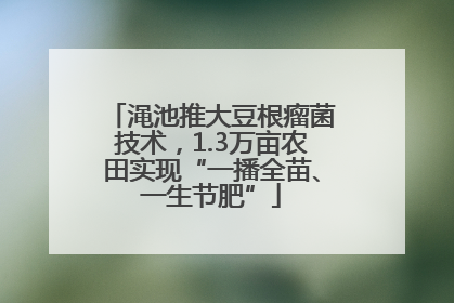 渑池推大豆根瘤菌技术，1.3万亩农田实现“一播全苗、一生节肥”