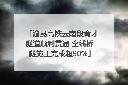 渝昆高铁云南段育才隧道顺利贯通 全线桥隧施工完成超90%