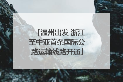 温州出发 浙江至中亚首条国际公路运输线路开通