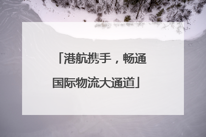 港航携手，畅通国际物流大通道