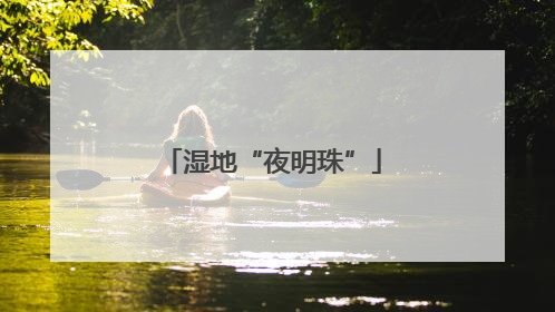 湿地“夜明珠”