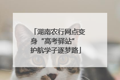 湖南农行网点变身“高考驿站” 护航学子逐梦路