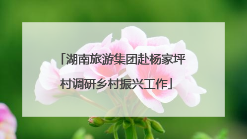 湖南旅游集团赴杨家坪村调研乡村振兴工作