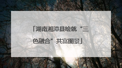 湖南湘潭县绘就“三色融合”共富图景