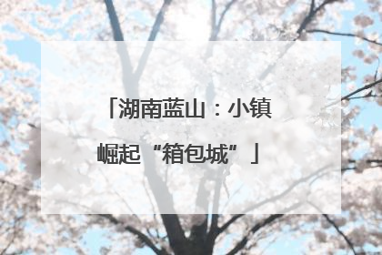 湖南蓝山：小镇崛起“箱包城”
