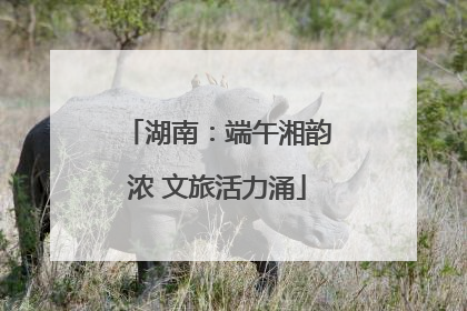湖南：端午湘韵浓 文旅活力涌