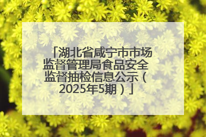 湖北省咸宁市市场监督管理局食品安全监督抽检信息公示（2025年5期）