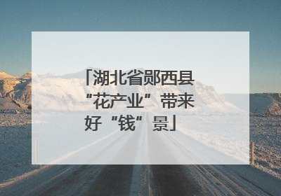 湖北省郧西县“花产业”带来好“钱”景