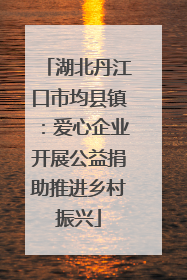 湖北丹江口市均县镇：爱心企业开展公益捐助推进乡村振兴