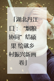 湖北丹江口：“烟粮协同”结硕果 绘就乡村振兴新画卷