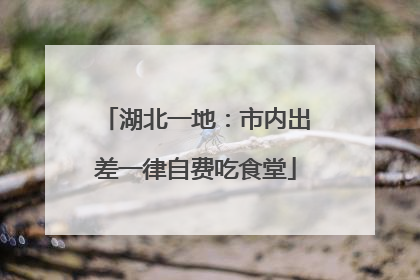 湖北一地：市内出差一律自费吃食堂