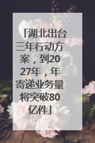 湖北出台三年行动方案，到2027年，年寄递业务量将突破80亿件