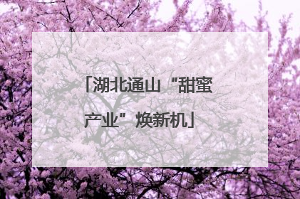 湖北通山“甜蜜产业”焕新机