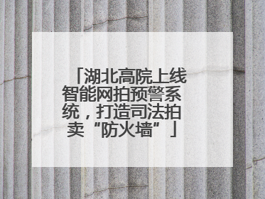 湖北高院上线智能网拍预警系统，打造司法拍卖“防火墙”