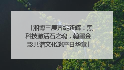 湘博三展齐绽新辉：黑科技激活石之魂，翰墨金影共谱文化遗产日华章