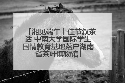 湘见端午丨佳节叙茶话 中南大学国际学生国情教育基地落户湖南省茶叶博物馆