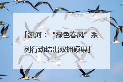 漯河：“绿色春风”系列行动结出双拥硕果