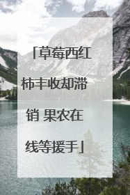 草莓西红柿丰收却滞销 果农在线等援手