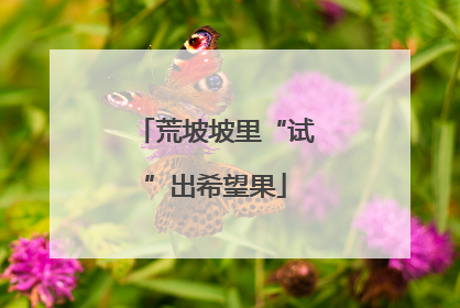 荒坡坡里“试”出希望果