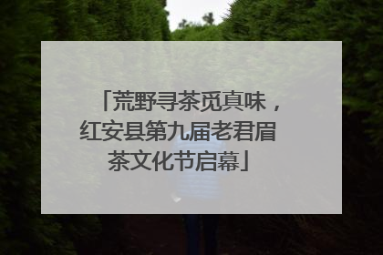 荒野寻茶觅真味，红安县第九届老君眉茶文化节启幕
