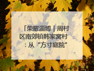 荣耀淄博｜周村区南郊镇韩家窝村：从“方寸庭院”到“全域文明”，乡村振兴的“美学革命”