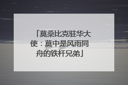 莫桑比克驻华大使：莫中是风雨同舟的铁杆兄弟