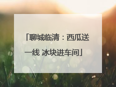 聊城临清：西瓜送一线 冰块进车间