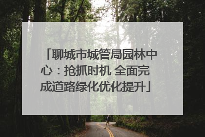 聊城市城管局园林中心：抢抓时机 全面完成道路绿化优化提升