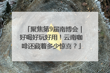 聚焦第9届南博会｜好喝好玩好用！云南咖啡还藏着多少惊喜？