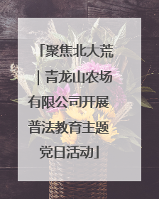 聚焦北大荒｜青龙山农场有限公司开展普法教育主题党日活动