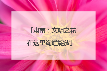 肃南：文明之花在这里绚烂绽放