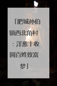 肥城孙伯镇西北角村：洋葱丰收圆百姓致富梦