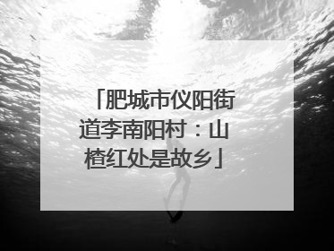 肥城市仪阳街道李南阳村：山楂红处是故乡