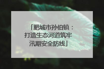 肥城市孙伯镇：打造生态河道筑牢汛期安全防线