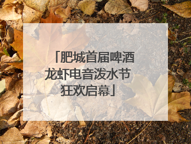 肥城首届啤酒龙虾电音泼水节狂欢启幕