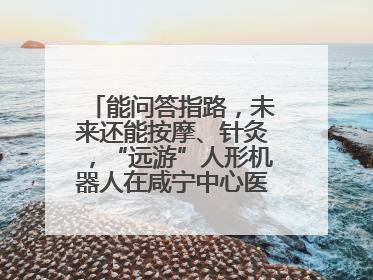 能问答指路，未来还能按摩、针灸，“远游”人形机器人在咸宁中心医院上岗