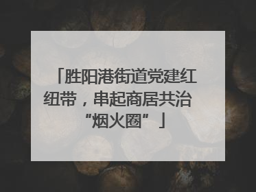 胜阳港街道党建红纽带，串起商居共治 “烟火圈”