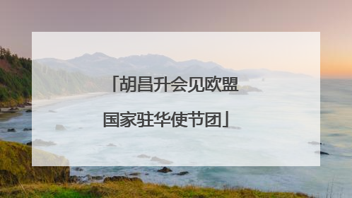 胡昌升会见欧盟国家驻华使节团