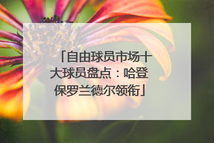自由球员市场十大球员盘点：哈登保罗兰德尔领衔