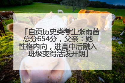 自贡历史类考生张雨茜总分654分，父亲：她性格内向，进高中后融入班级变得活泼开朗