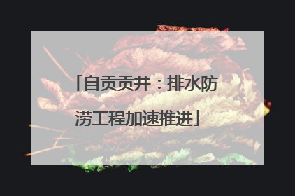 自贡贡井：排水防涝工程加速推进