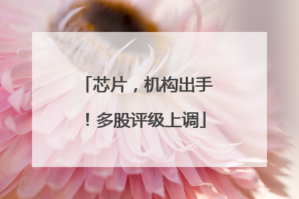 芯片，机构出手！多股评级上调