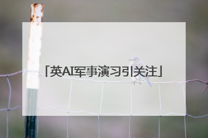 英AI军事演习引关注