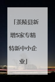 茶陵县新增5家专精特新中小企业