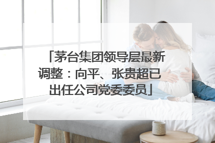 茅台集团领导层最新调整：向平、张贵超已出任公司党委委员